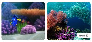 کاربرد علوم پایه در انیمیشن سازی - دنیای زیر آب - صخره های مرجانی - در جستجوی نمو